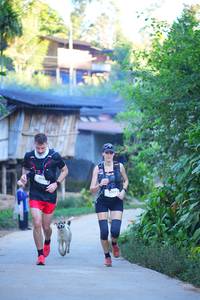 BIB: 302
                            <button type="button" onclick="openModal(19336338)" class="btn btn-primary btn-sm float-right btn-popup" data-toggle="modal" data-target=".modal-high-quality">
                        <i class="fas fa-shopping-cart"></i> Add to Cart
                    </button>
                                            <button type="button" onclick="isThisMe(19336338, true)" class="btn btn-success btn-sm float-right btn-popup btn-isme hidden" data-toggle="tooltip" data-placement="bottom" title="นี่คือรูปของคุณใช่ไหม คลิกที่นี่เพื่อเอาเข้าอัลบั้ม">
                        <i class="fas fa-plus"></i> Add to album
                    </button>
                    <button type="button" onclick="isThisMe(19336338, false)" class="btn btn-warning btn-sm float-right btn-popup btn-isnotme hidden">
                        <i class="fas fa-ban"></i> Remove from album
                    </button>